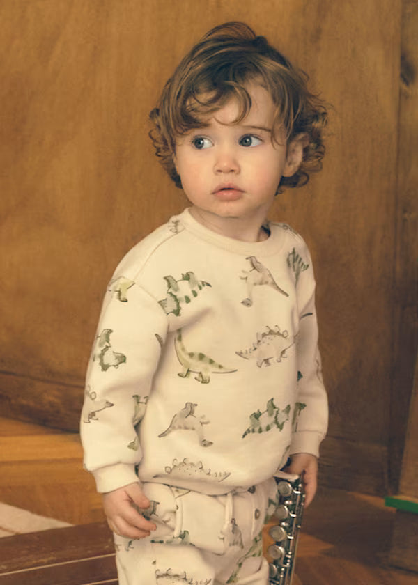 Animal Pocket Sweatshirt Dinosaurs