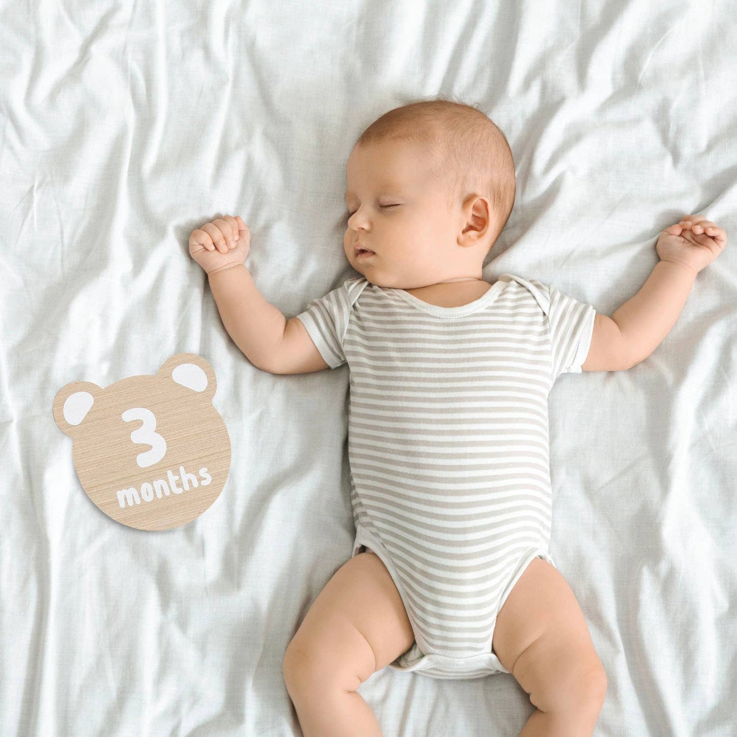Teddy Bear Wooden Monthly Milestone Photo Props Discs
