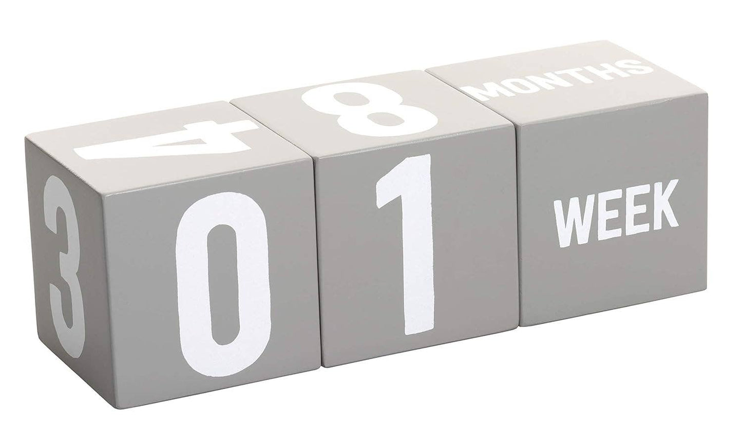 Wooden Milestone Age Blocks Photo Prop