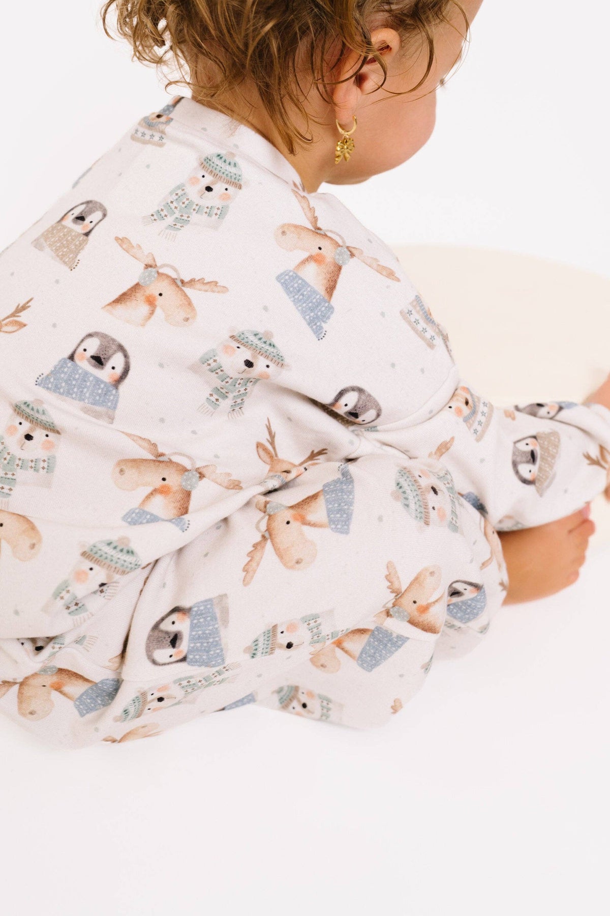 Frosty Friends Sweatsuit