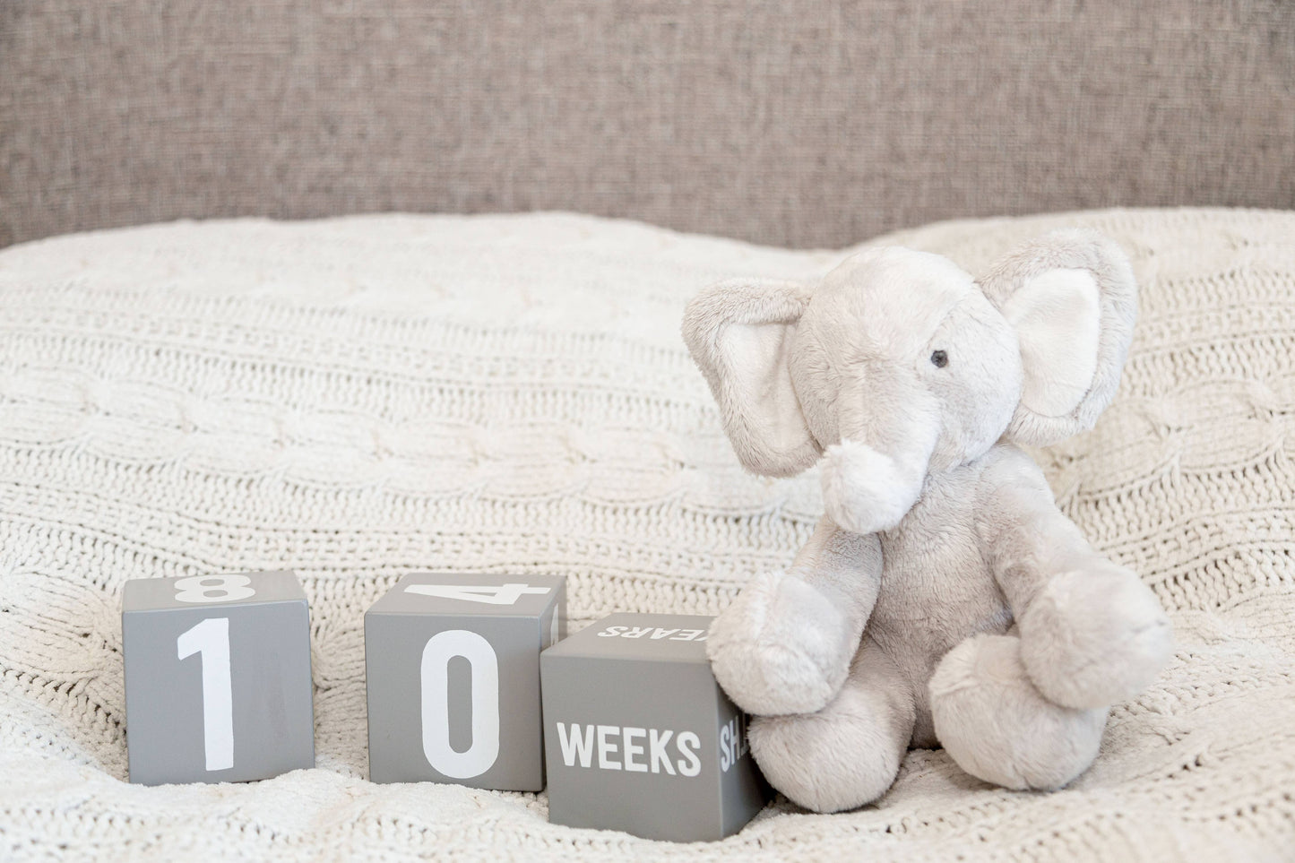 Wooden Milestone Age Blocks Photo Prop