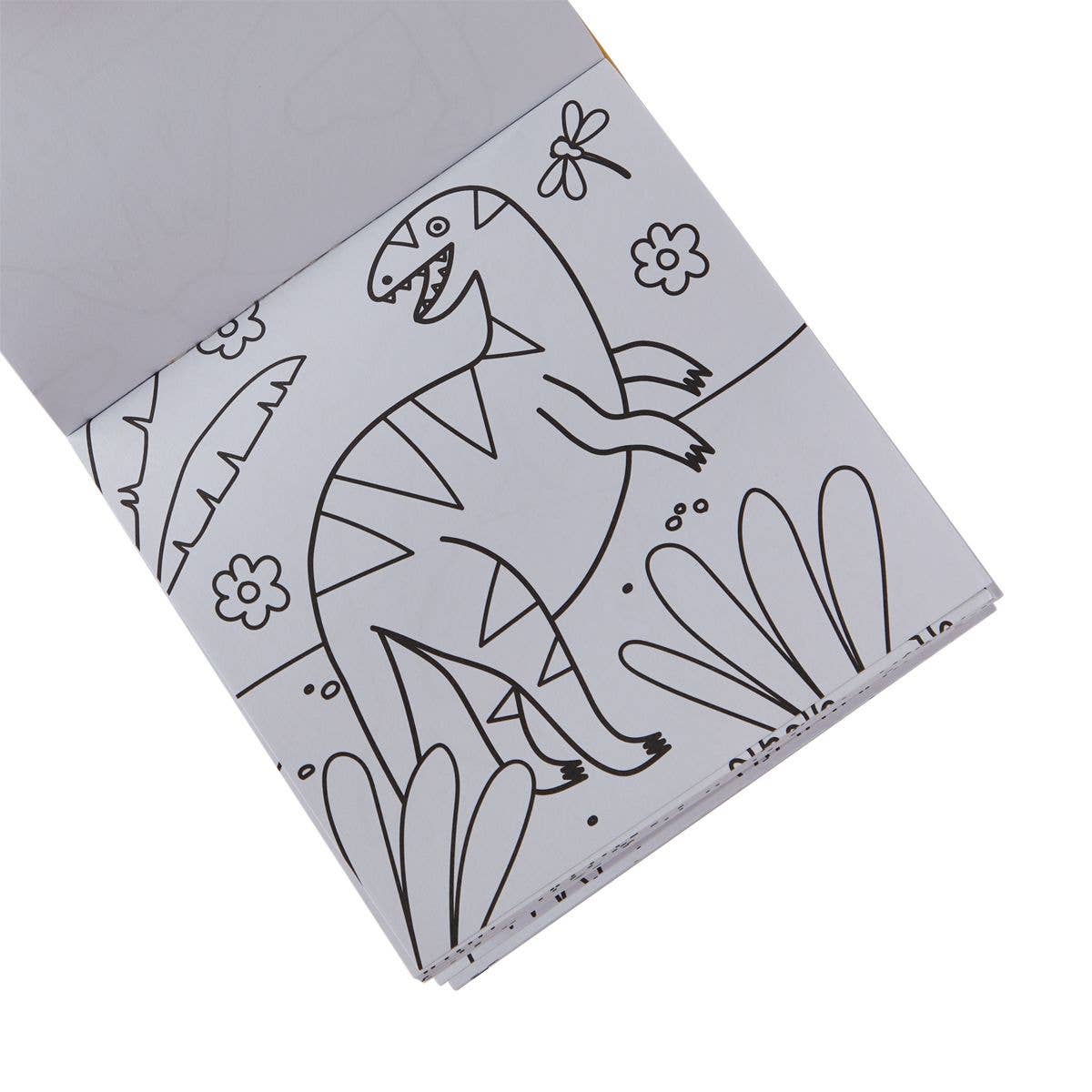 Dinoland Carry-Along Coloring Book Set