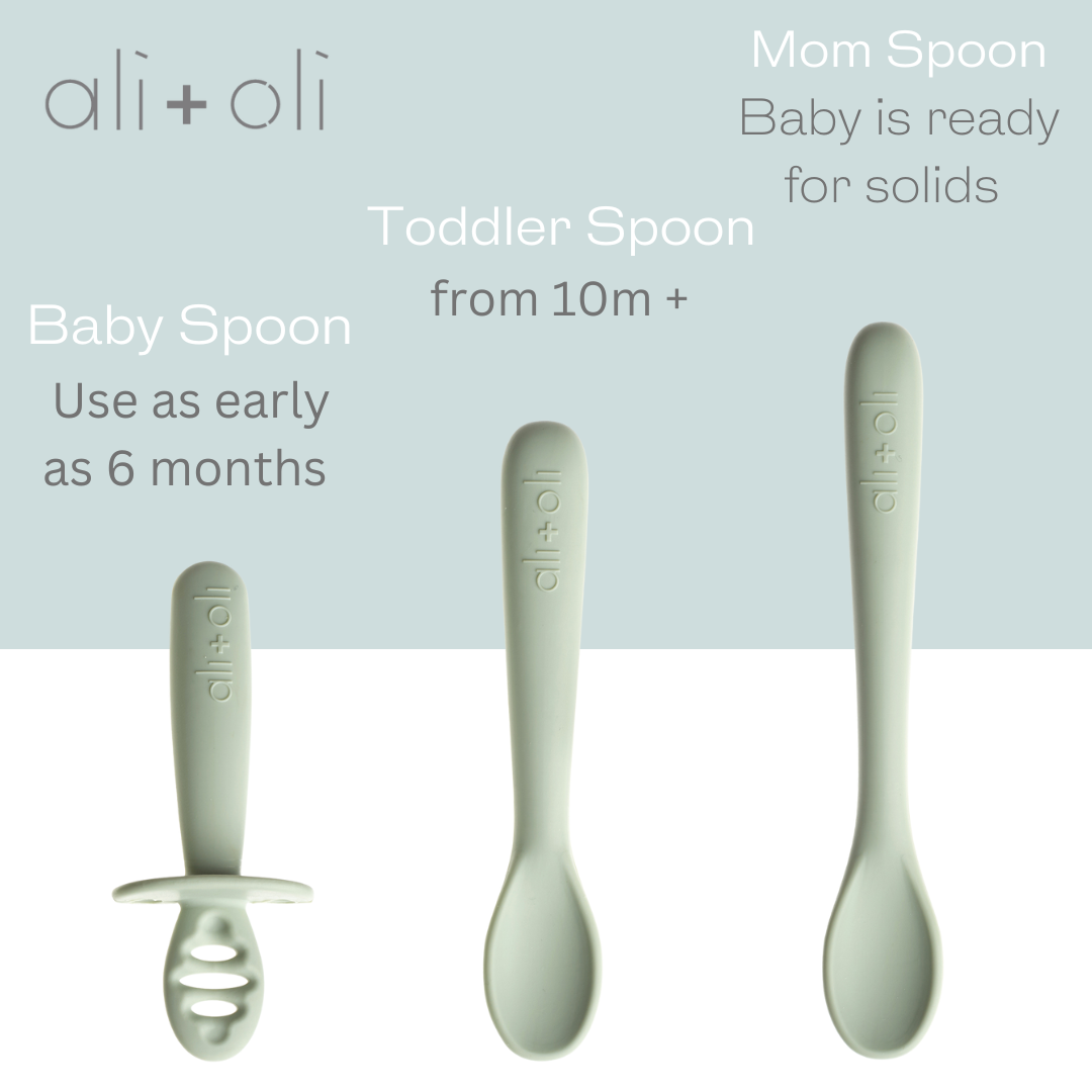 Multi Stage Spoon Set for Baby (Pine)