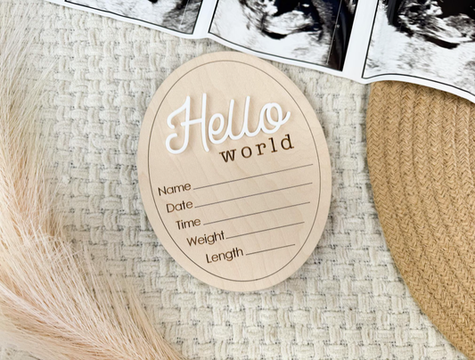 Hello World Wooden Baby Milestone Sign