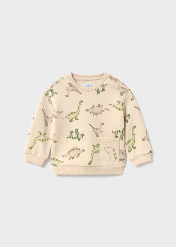 Animal Pocket Sweatshirt Dinosaurs