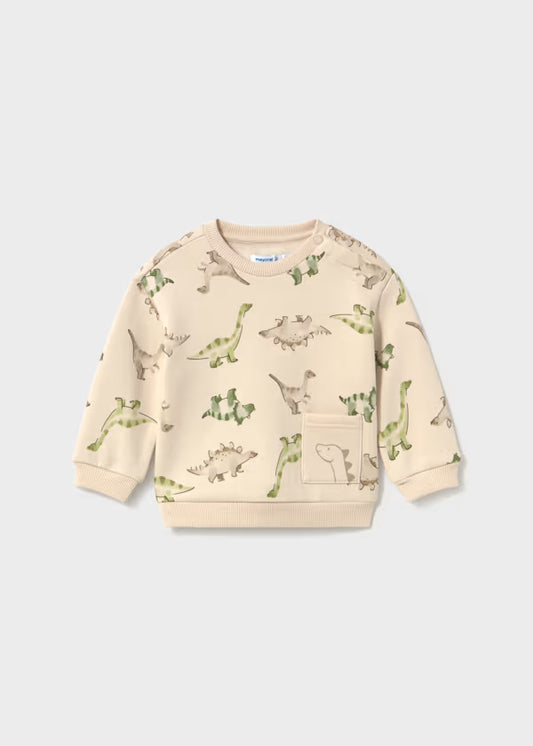 Animal Pocket Sweatshirt Dinosaurs
