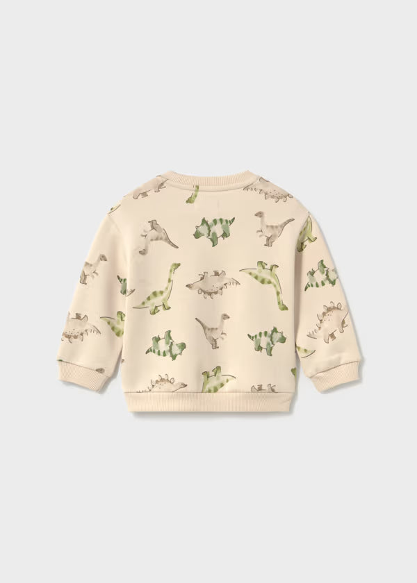 Animal Pocket Sweatshirt Dinosaurs