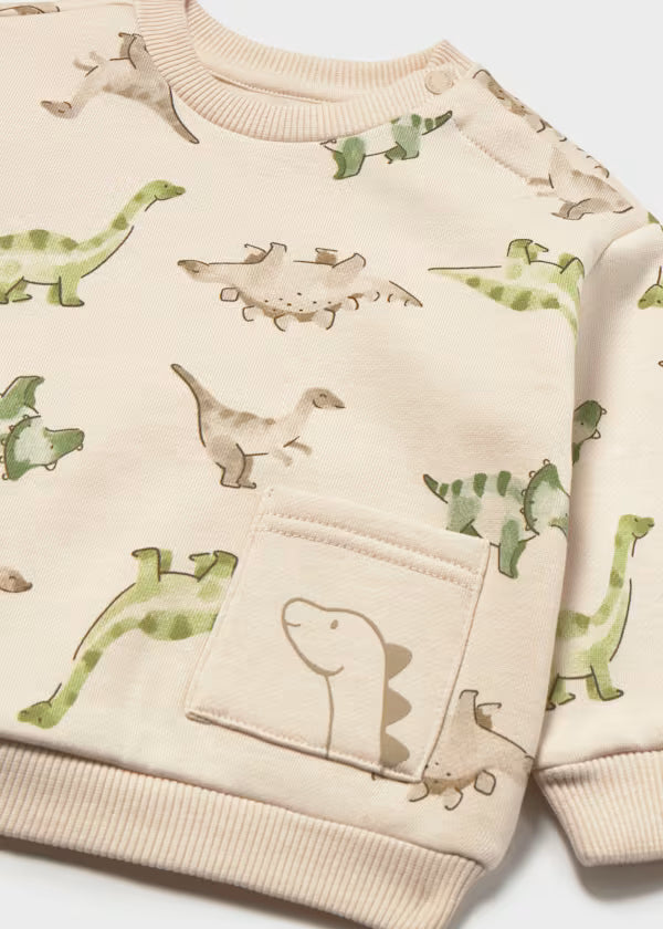 Animal Pocket Sweatshirt Dinosaurs