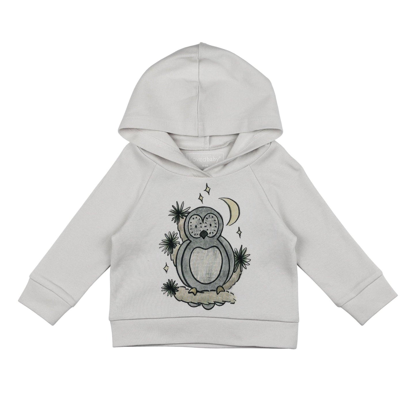Kids' Organic Raglan Hoodie in Owl Hoo? Graphic