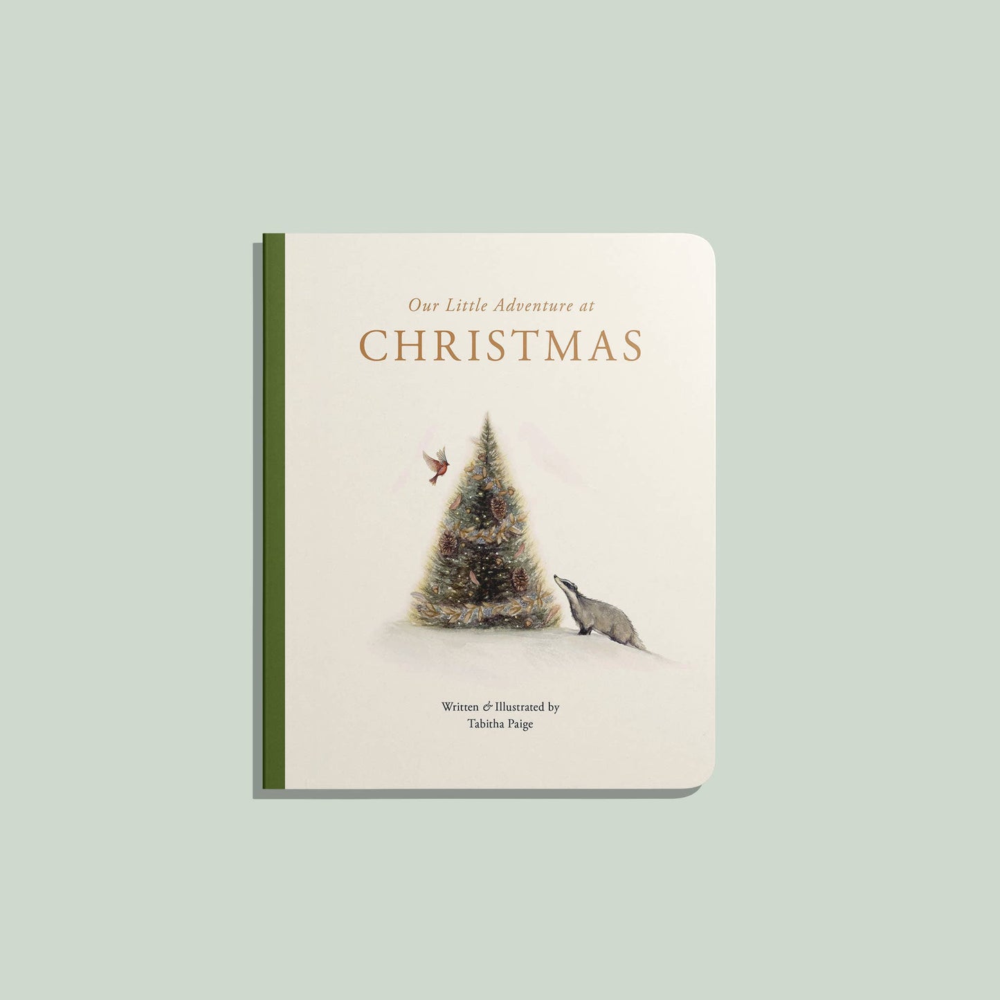 Our Little Adventure at Christmas (Board Book)