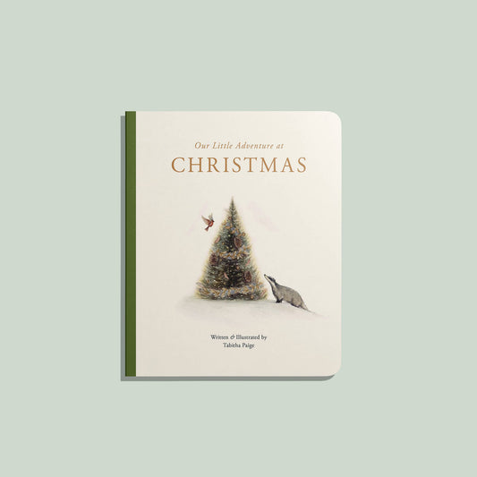 Our Little Adventure at Christmas (Board Book)