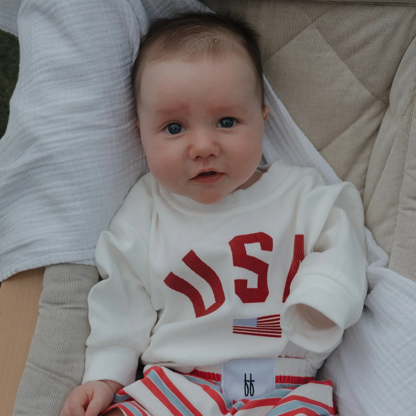 USA Sweatshirt (Baby/Toddler)